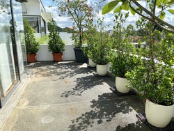 Ming Teck Park (D10), Semi-Detached #315074391